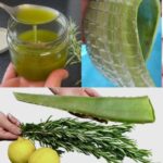 Aloe Vera y Romero: La Doble Fuerza Natural para Eliminar Toxinas