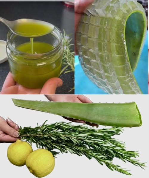 Ingredientes naturales: Aloe Vera y Romero