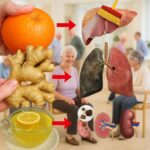 Potencia tu Salud: Recetas Naturales para Limpiar Riñones, Hígado y Pulmones
