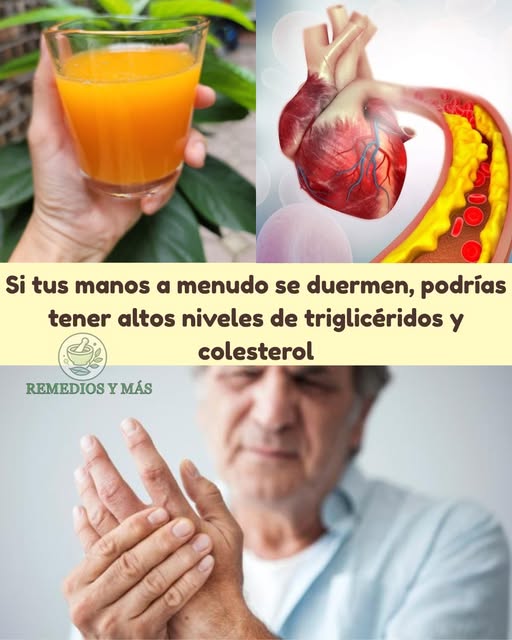 Remedios Naturales para el Colesterol