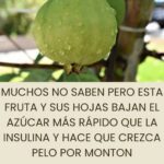 La Guayaba: Un Tesoro Natural Para Tu Salud y Belleza