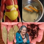 Los Secretos de la Canela y el Clavo: Beneficios y Recetas Naturales