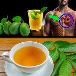 17 Razones por las que Deberías Beber Té de Hojas de Guayaba Dos Veces por Semana