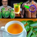 17 Razones por las que Debes Beber Té de Hoja de Guayaba dos Veces a la Semana