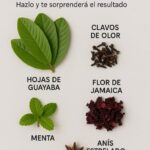 Ingredientes Mágicos: Prepara un Tónico Capilar que Sí Funciona
