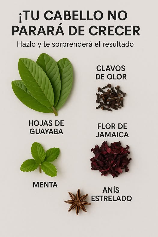 Ingredientes Mágicos para el Crecimiento del Cabello