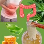 Beneficios del Aloe Vera: Remedios Naturales para el Malestar Estomacal