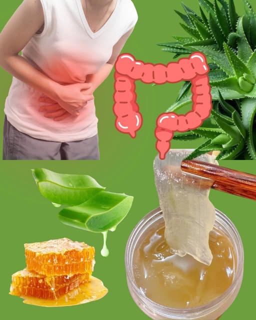 Aloe Vera para la salud digestiva