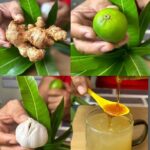 Receta Natural para Mejorar la Potencia Masculina: Jengibre, Limón, Ajo y Miel