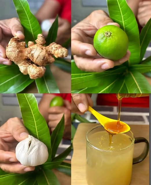 Ingredientes naturales para mejora de la potencia