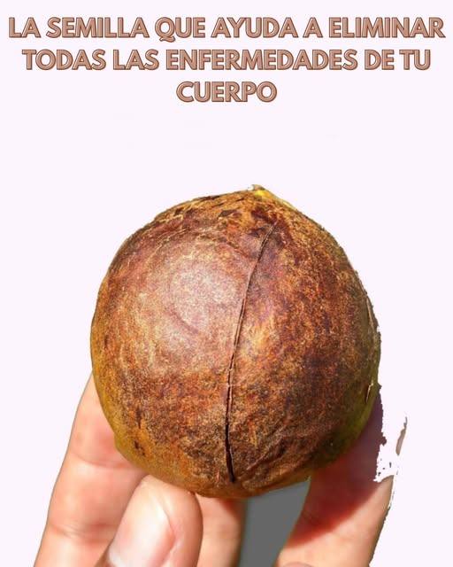 La semilla que ayuda a eliminar todas las enfermedades de tu cuerpo