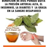 Las Maravillosas Propiedades del Laurel: Tu Aliado Natural para la Salud
