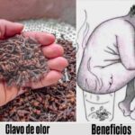 Los Beneficios del Clavo de Olor: Un Tesoro Natural para tu Salud