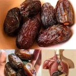 La Fruta Poderosa: ¿Por Qué Deberías Comer Dátiles Cada Noche?