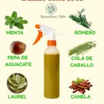 Incrementa el Crecimiento de Tu Cabello con este Remedio Natural