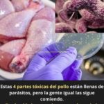 Las 4 Partes Tóxicas del Pollo: Prevención y Seguridad Alimentaria