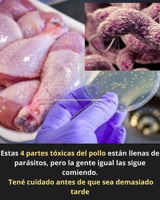 Partes tóxicas del pollo