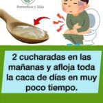 Aloe Vera: La Planta Milagrosa que Combate la Hinchazón y Mejora Tu Digestión