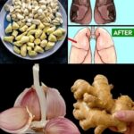 Mejora Tu Salud Pulmonar con Ajo y Jengibre: Beneficios Naturales
