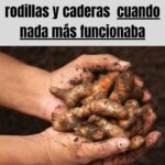 Alivio Natural: Remedios Caseros para el Dolor de Rodillas y Caderas