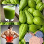 Chayote: El Remedio Natural para el Dolor de Rodillas y Más