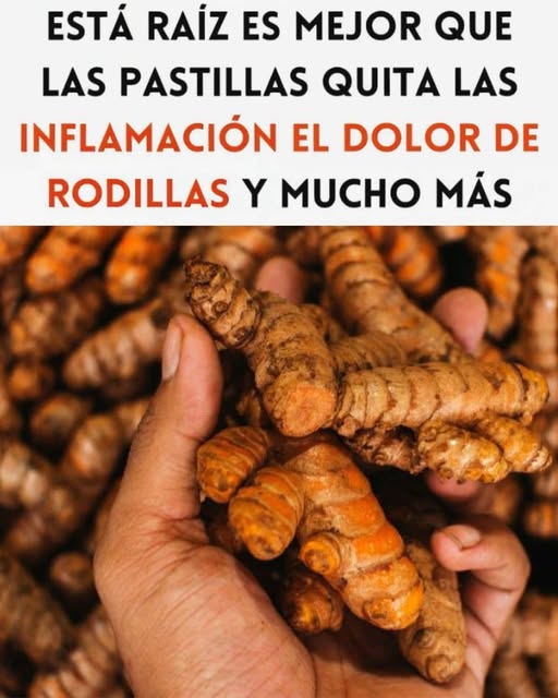 Raíces de cúrcuma