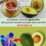 ¡No Tires la Semilla de Aguacate! Descubre sus Sorprendentes Beneficios para la Salud