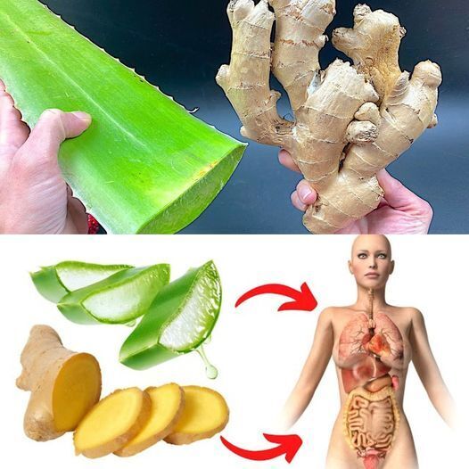 Elixir de Aloe Vera y Jengibre