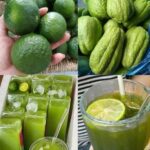 Descubre los Poderes del Chayote: Elimina Dolores y Mejora Tu Salud