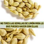 Semillas de Limón: Un Tesoro Oculto en tu Cocina