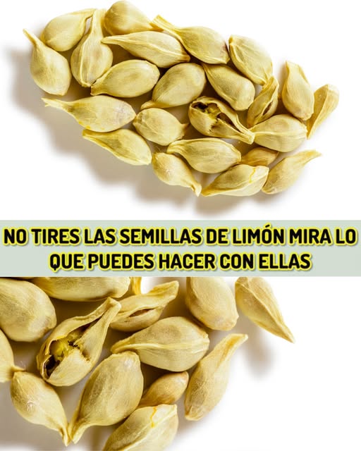 Semillas de limón