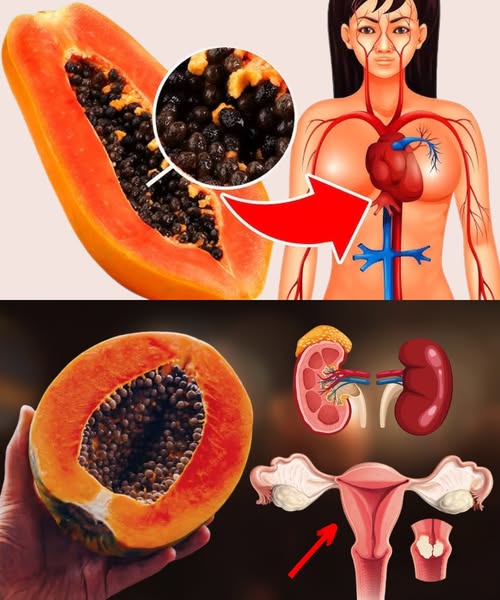 Semillas de papaya