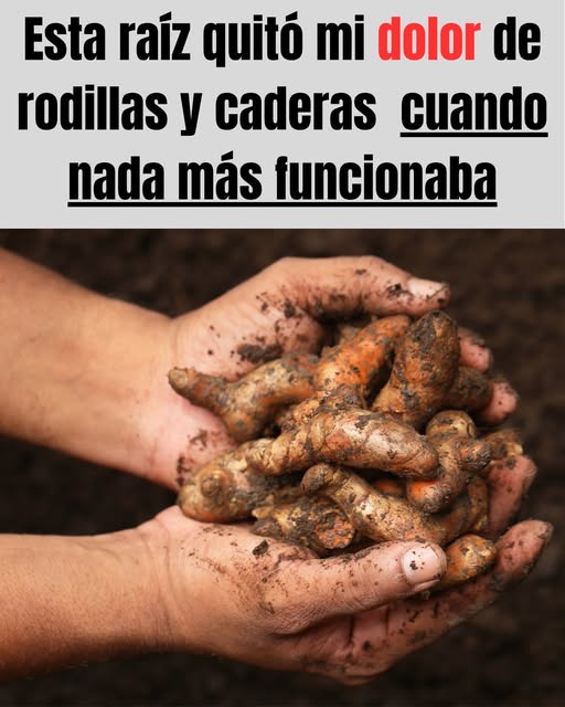 Manos sosteniendo raíces cubiertas de tierra