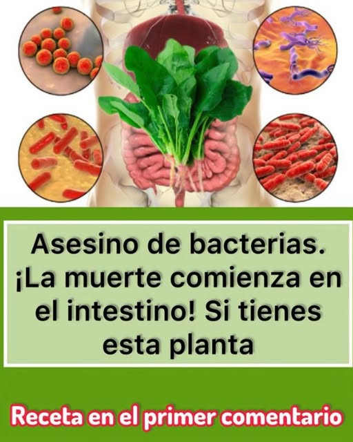 Espinaca como asesino de bacterias