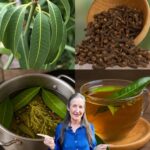 Cómo Preparar Té de Hojas de Mango con Clavo: Receta Natural