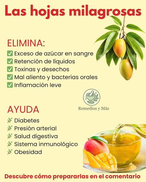 Hojas Milagrosas y Infusión