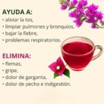 El Poder del Té de Bugambilia: Un Remedio Natural para Respirar Mejor