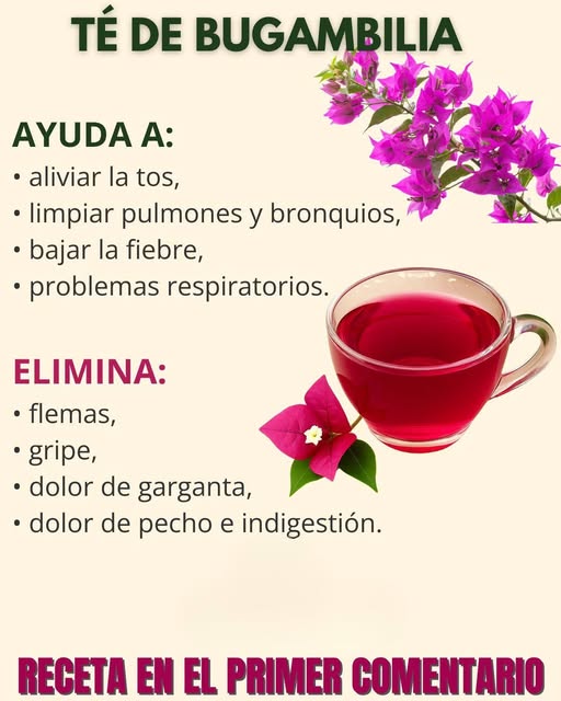 Té de Bugambilia