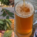 Las Cuatro Hojas Mágicas: Remedios Naturales para la Diabetes y Más