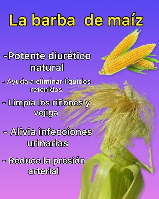 Barba de maíz