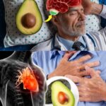Aguacate Después de los 50: Beneficios Inesperados tras 7 Días de Consumo