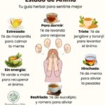 Infusiones para el Equilibrio Emocional: Remedios Naturales para Cada Estado de Ánimo