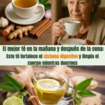 El Té Natural: Tu Aliado Esencial en la Mañana y Después de la Cena