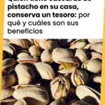 Redescubriendo el Valor de las Cáscaras de Pistacho: Un Tesoro Oculto en Tu Hogar