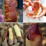 ¡Descubre por qué deberías incluir el tamarindo en tu dieta!