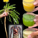 Beneficios del Diente de León: Un Tesoro Natural para la Salud