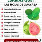 Descubre los Potentes Beneficios del Té de Hojas de Guayaba para Tu Salud