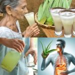 11 Razones para Beber Agua de Sábila (Aloe Vera) Cada Día + Cómo Prepararla