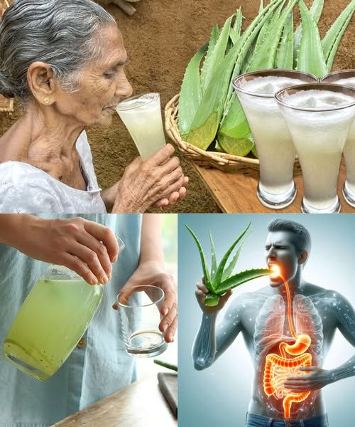 Beneficios del Aloe Vera
