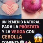 Cuida Tu Próstata y Vejiga con Remedios Naturales a Base de Cebolla
